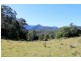 Lot 1 & Lot 117 Davis Road, Green Pigeon, Kyogle, Kyogle NSW 2474