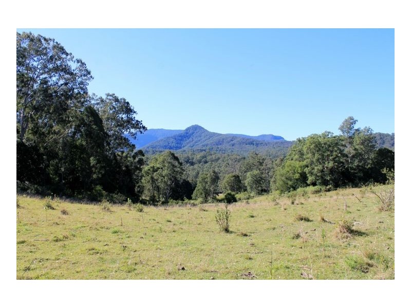 Lot 1 & Lot 117 Davis Road, Green Pigeon, Kyogle, Kyogle NSW 2474