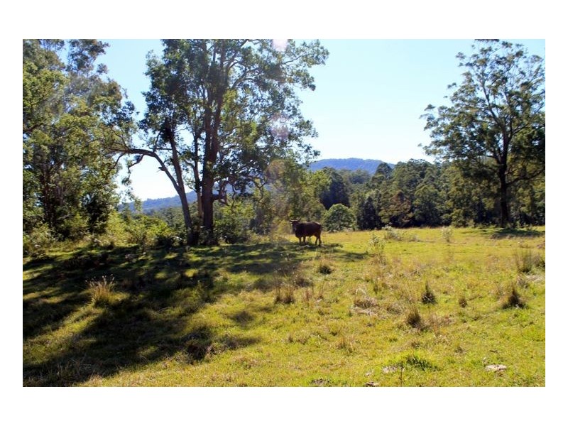 Lot 1 & Lot 117 Davis Road, Green Pigeon, Kyogle, Kyogle NSW 2474