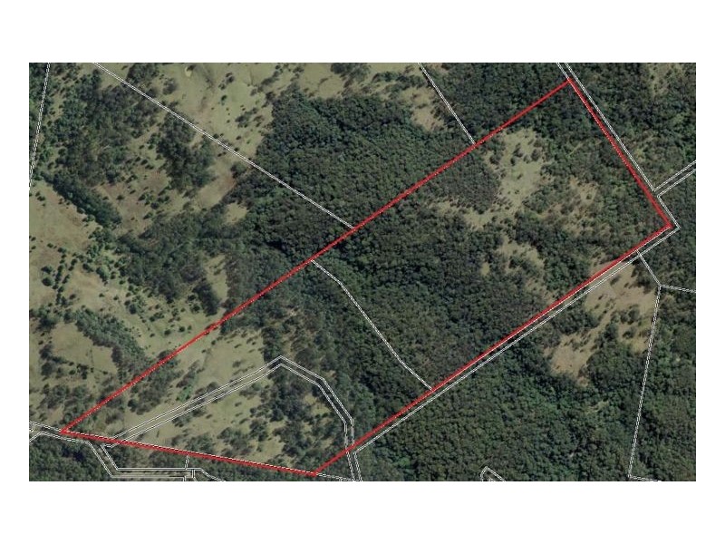 Lot 1 & Lot 117 Davis Road, Green Pigeon, Kyogle, Kyogle NSW 2474