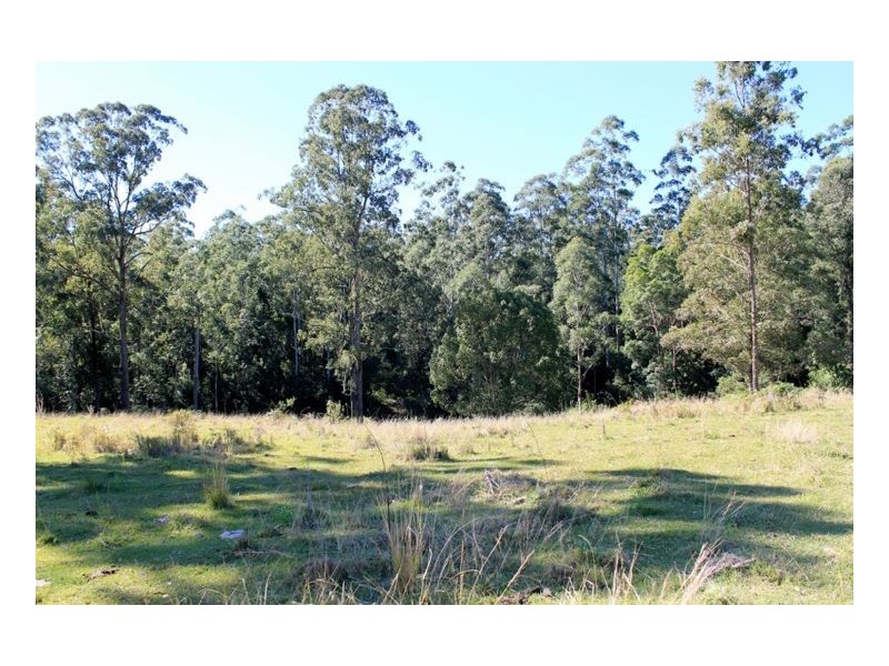 Lot 1 & Lot 117 Davis Road, Green Pigeon, Kyogle, Kyogle NSW 2474