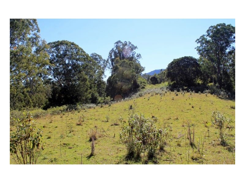 Lot 1 & Lot 117 Davis Road, Green Pigeon, Kyogle, Kyogle NSW 2474