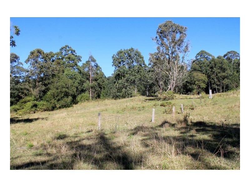 Lot 1 & Lot 117 Davis Road, Green Pigeon, Kyogle, Kyogle NSW 2474