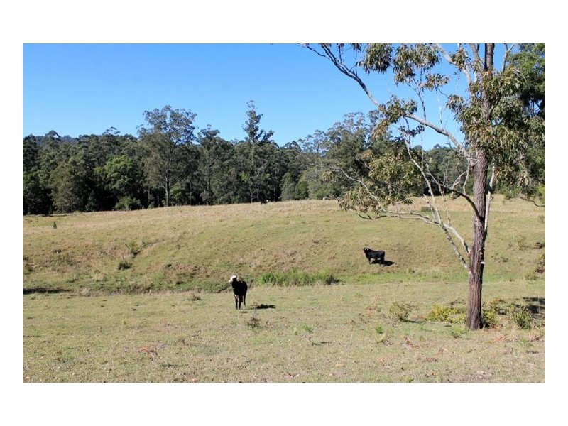 Lot 1 & Lot 117 Davis Road, Green Pigeon, Kyogle, Kyogle NSW 2474