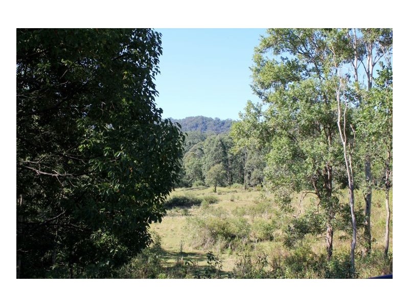Lot 1 & Lot 117 Davis Road, Green Pigeon, Kyogle, Kyogle NSW 2474