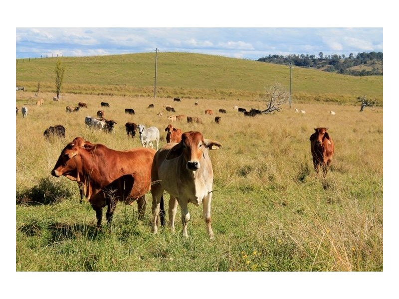 25 Mundalong Road, Kyogle NSW 2474