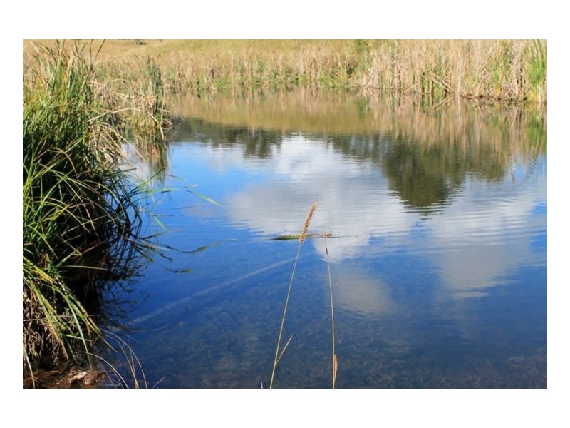 25 Mundalong Road, Kyogle NSW 2474