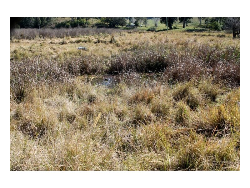 127 Apple Gum Road, Wyneden, Kyogle NSW 2474