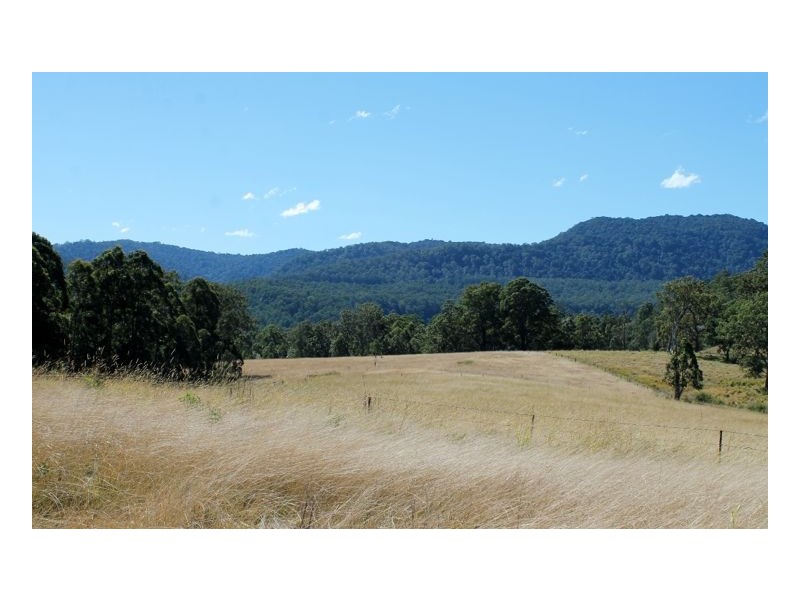 1146 Lynches Creek Road, Lynches Creek, Kyogle NSW 2474
