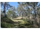 1146 Lynches Creek Road, Lynches Creek, Kyogle NSW 2474