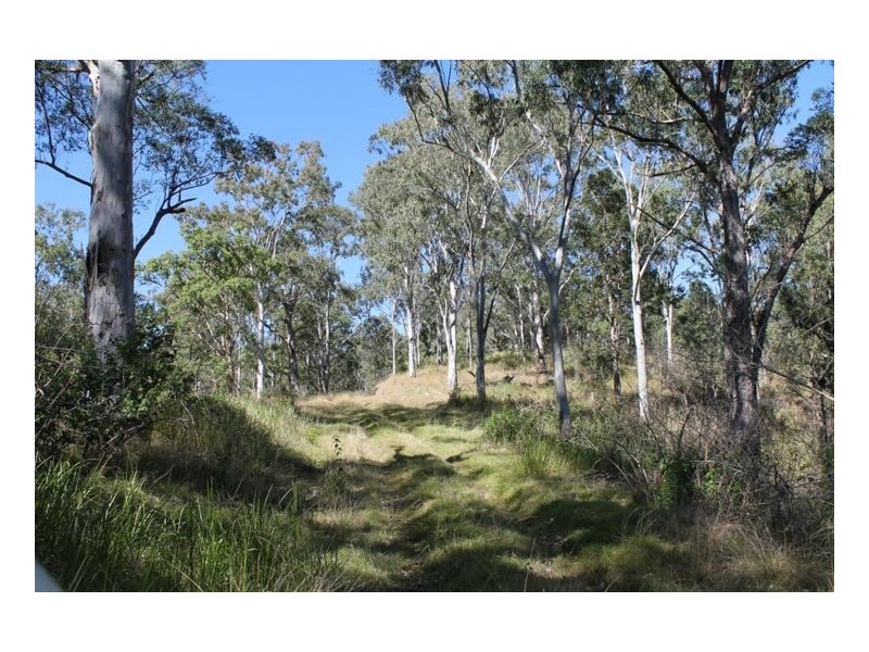 1146 Lynches Creek Road, Lynches Creek, Kyogle NSW 2474