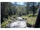 1146 Lynches Creek Road, Lynches Creek, Kyogle NSW 2474