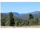 1146 Lynches Creek Road, Lynches Creek, Kyogle NSW 2474