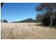 1146 Lynches Creek Road, Lynches Creek, Kyogle NSW 2474