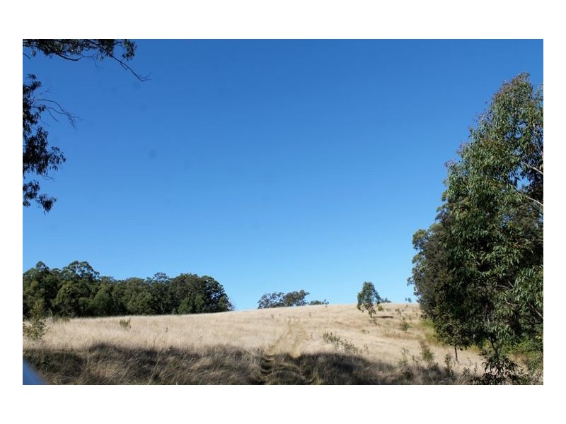 1146 Lynches Creek Road, Lynches Creek, Kyogle NSW 2474