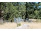 1146 Lynches Creek Road, Lynches Creek, Kyogle NSW 2474