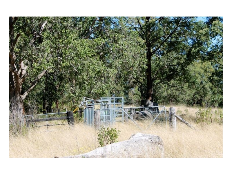 1146 Lynches Creek Road, Lynches Creek, Kyogle NSW 2474