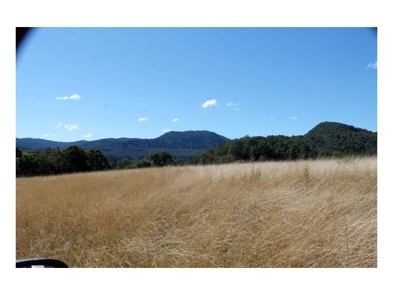 1146 Lynches Creek Road, Lynches Creek, Kyogle NSW 2474