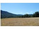 1146 Lynches Creek Road, Lynches Creek, Kyogle NSW 2474