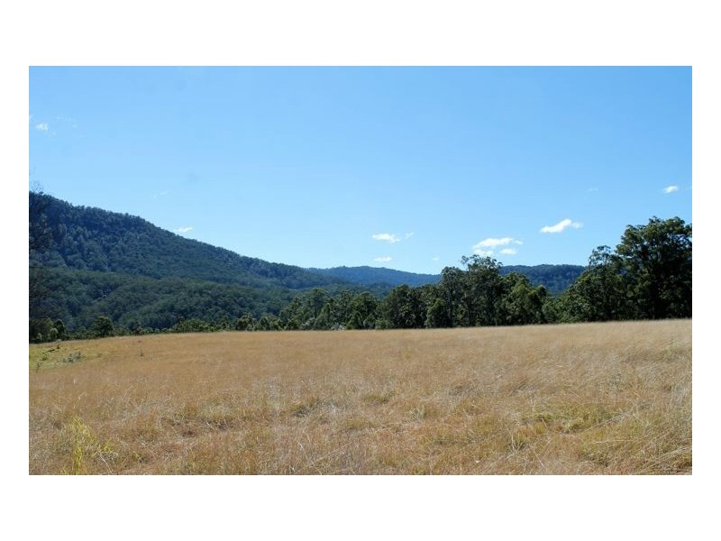 1146 Lynches Creek Road, Lynches Creek, Kyogle NSW 2474