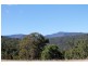 1146 Lynches Creek Road, Lynches Creek, Kyogle NSW 2474