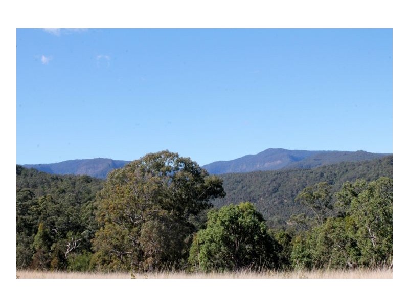 1146 Lynches Creek Road, Lynches Creek, Kyogle NSW 2474
