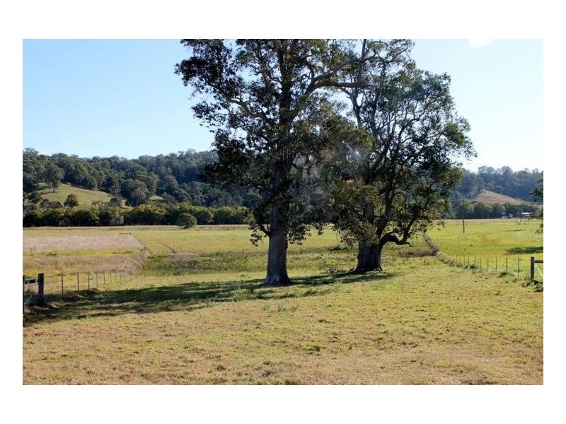 49 Afterlee Road – Horsestation Creek, Kyogle NSW 2474