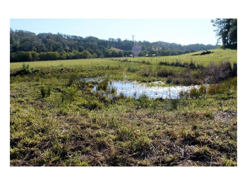 49 Afterlee Road – Horsestation Creek, Kyogle NSW 2474