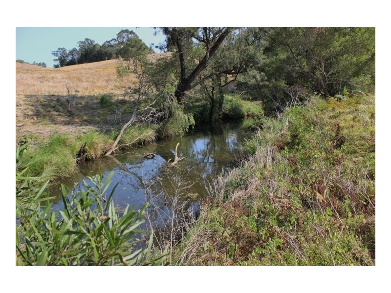 112 Homeleigh Road – Homeleigh, Kyogle NSW 2474