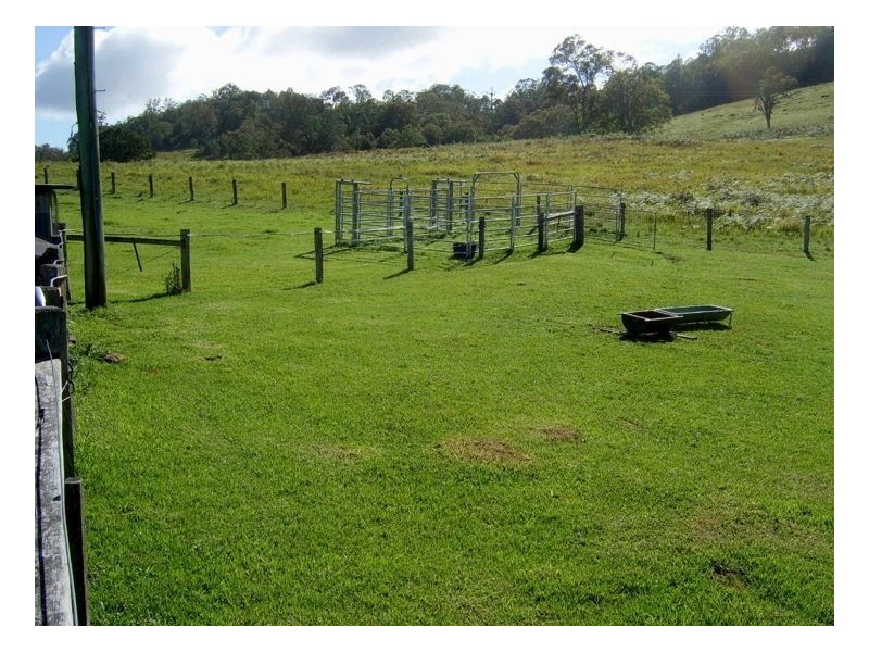 18360 Clarence Way, Woodenbong NSW 2476