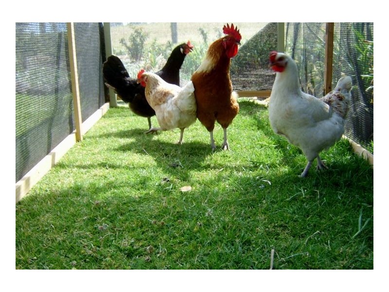 18360 Clarence Way, Woodenbong NSW 2476