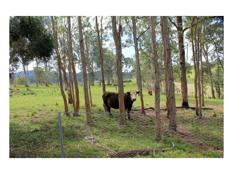 93 Green Pigeon Road, Kyogle NSW 2474