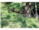 207 Bolan Road Doubtful Creek, Kyogle NSW 2474