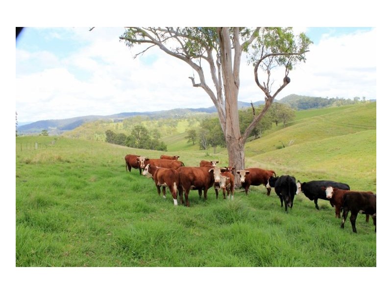 28 Eden Creek Road, Eden Creek, Kyogle NSW 2474