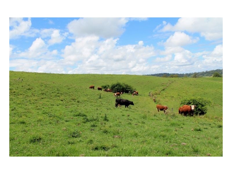 28 Eden Creek Road, Eden Creek, Kyogle NSW 2474