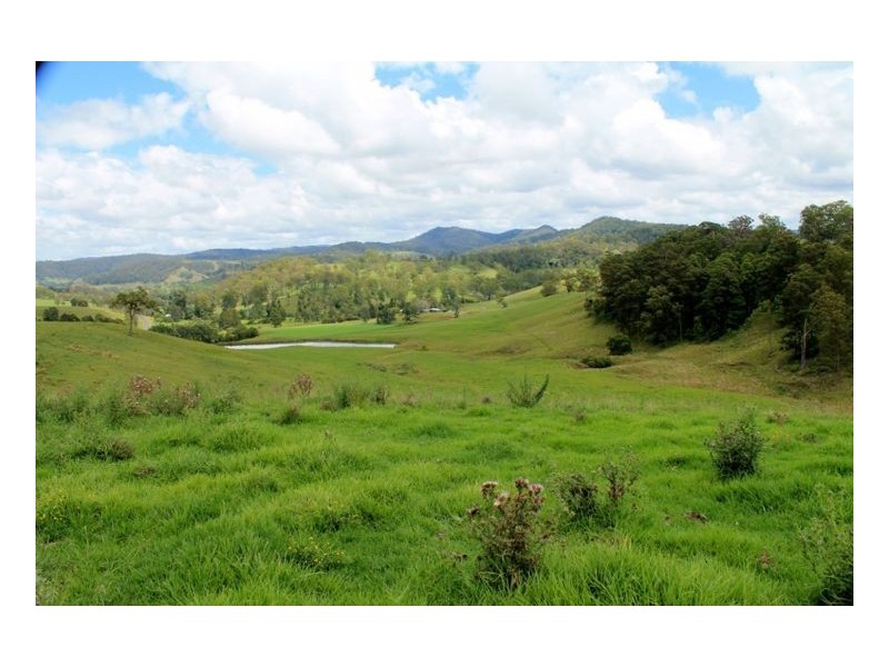 28 Eden Creek Road, Eden Creek, Kyogle NSW 2474