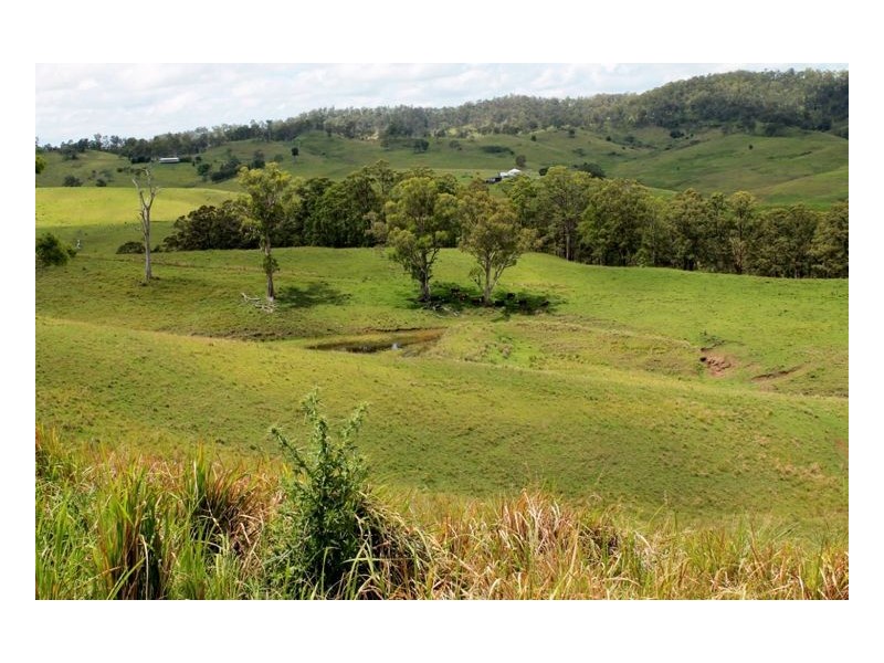 28 Eden Creek Road, Eden Creek, Kyogle NSW 2474