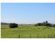 126 Studders Lane – Cedar Point, Kyogle NSW 2474