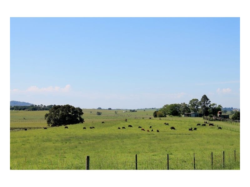 126 Studders Lane – Cedar Point, Kyogle NSW 2474