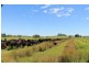 126 Studders Lane – Cedar Point, Kyogle NSW 2474
