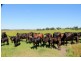 126 Studders Lane – Cedar Point, Kyogle NSW 2474