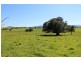 126 Studders Lane – Cedar Point, Kyogle NSW 2474