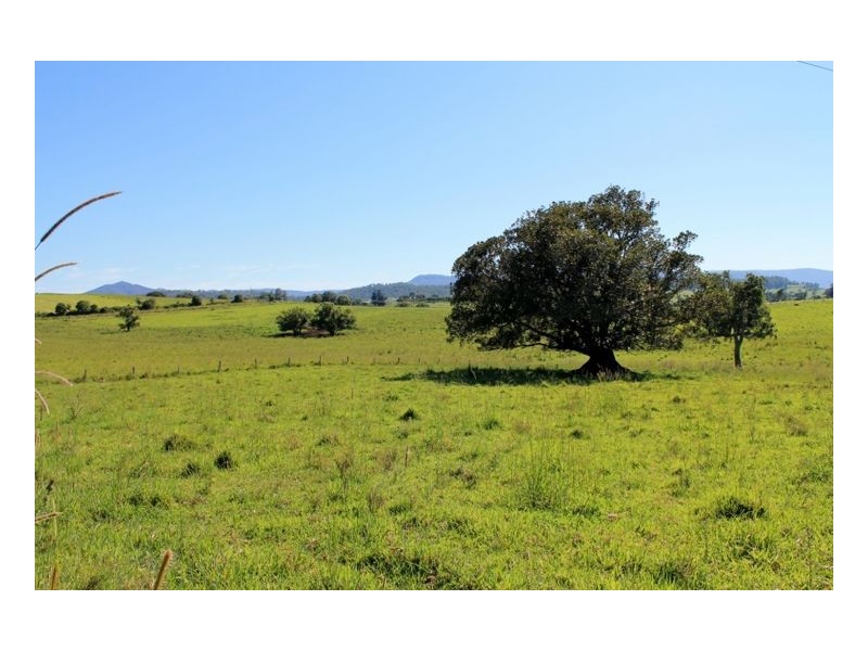 126 Studders Lane – Cedar Point, Kyogle NSW 2474