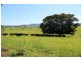 126 Studders Lane – Cedar Point, Kyogle NSW 2474