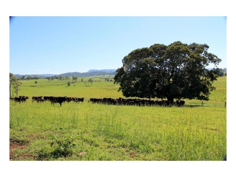126 Studders Lane – Cedar Point, Kyogle NSW 2474