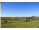 126 Studders Lane – Cedar Point, Kyogle NSW 2474
