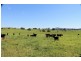 126 Studders Lane – Cedar Point, Kyogle NSW 2474