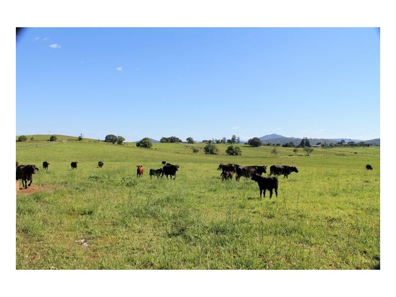 126 Studders Lane – Cedar Point, Kyogle NSW 2474