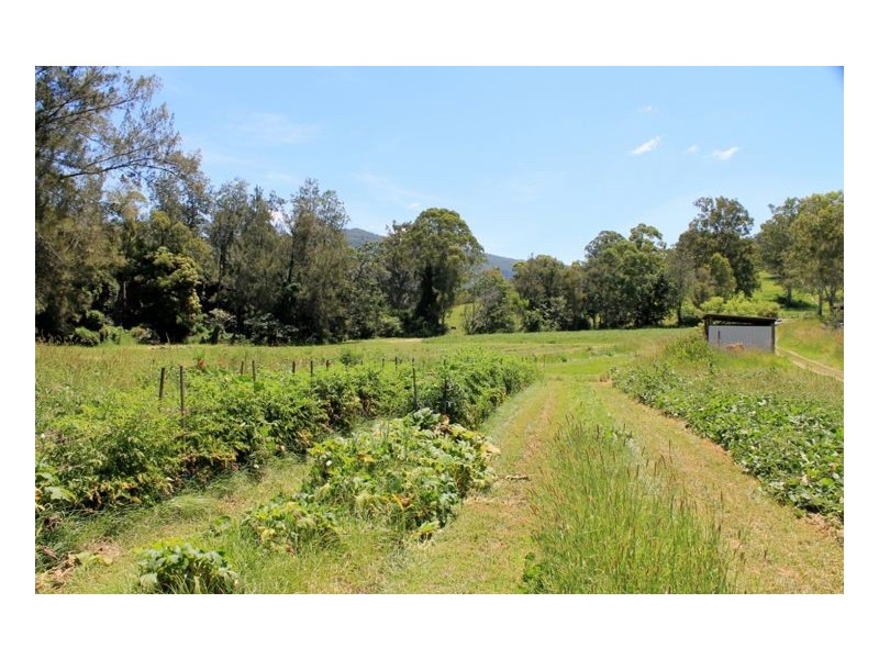 436 Roseberry Creek Road – Roseberry, Kyogle NSW 2474