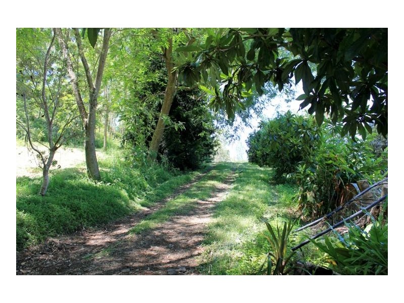 436 Roseberry Creek Road – Roseberry, Kyogle NSW 2474